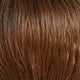Red-brown Burgundy Short Hair Pixie bob Synthetic Wig Layered Bangs High Temperature Resistant Fiber Women's Style Real Photo